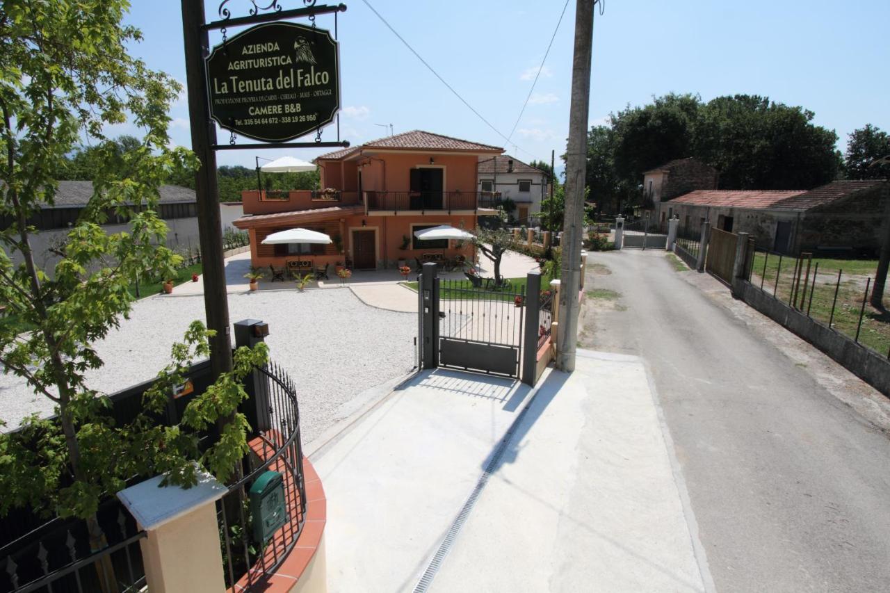 Azienda Agrituristica La Tenuta Del Falco Piedimonte San Germano Eksteriør bilde