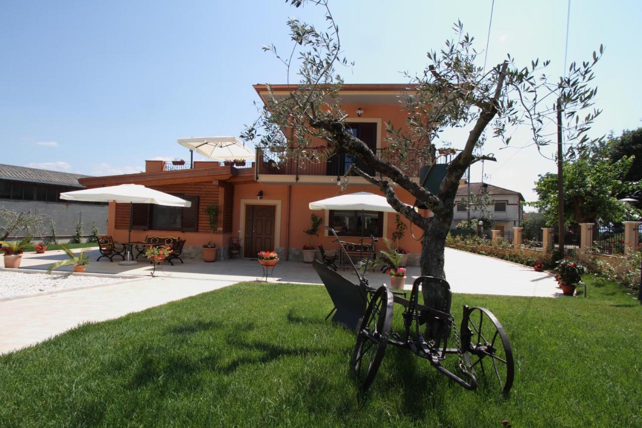 Azienda Agrituristica La Tenuta Del Falco Piedimonte San Germano Eksteriør bilde