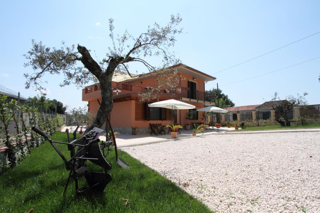 Azienda Agrituristica La Tenuta Del Falco Villa Piedimonte San Germano Eksteriør bilde