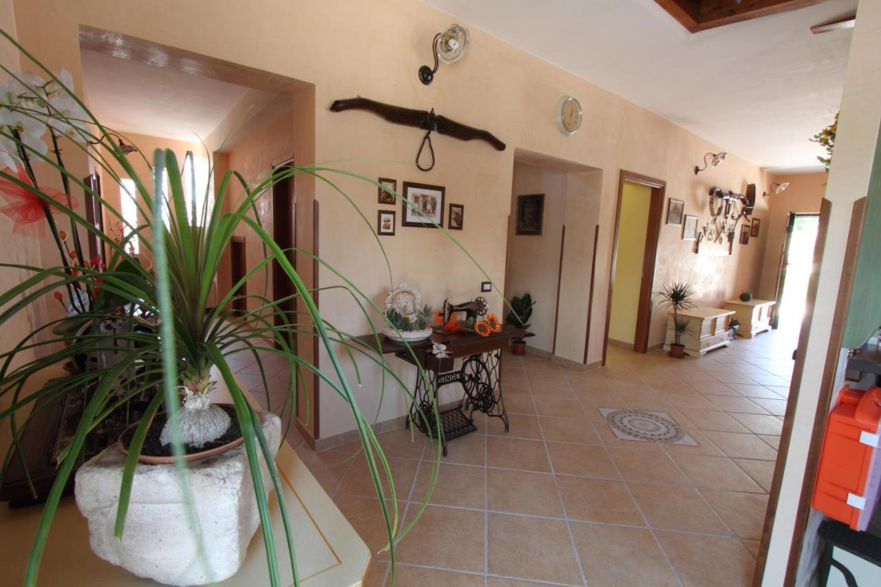 Azienda Agrituristica La Tenuta Del Falco Piedimonte San Germano Eksteriør bilde